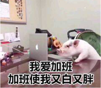 民族品牌 民族品牌