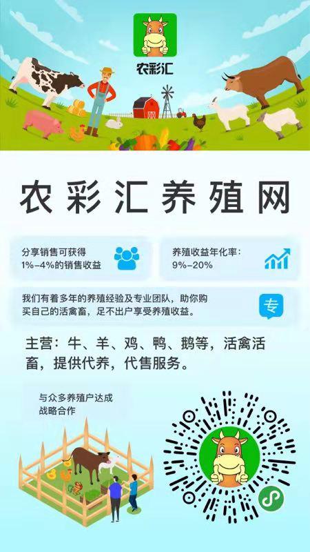 中國民族品牌網(wǎng) 中國民族品牌網(wǎng)