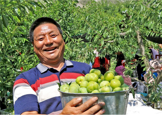 中國安防十大民族品牌 中國安防十大民族品牌