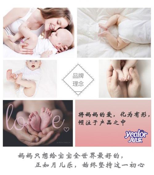 中國安防十大民族品牌 中國安防十大民族品牌