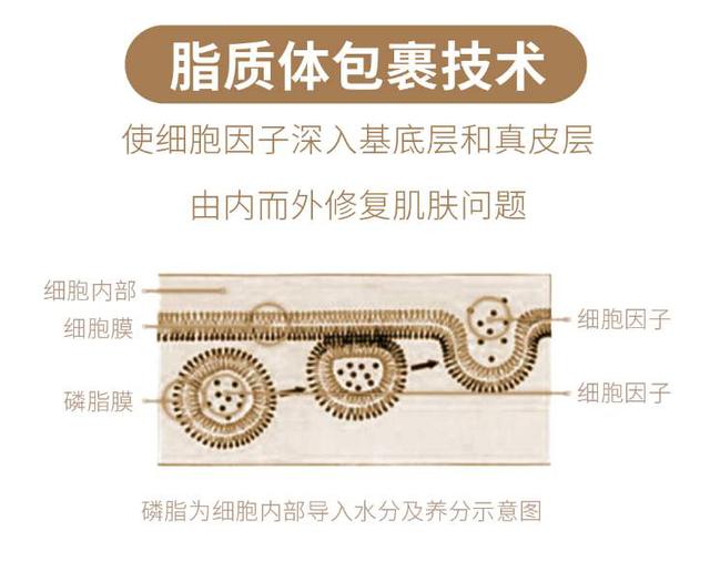 中國(guó)民族品牌有哪些 中國(guó)民族品牌有哪些