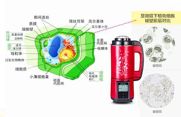 中國(guó)民族品牌網(wǎng) 中國(guó)民族品牌網(wǎng)