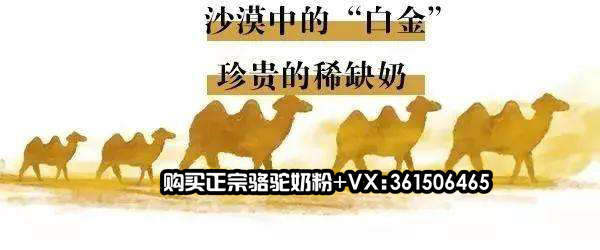 中國民族品牌 中國民族品牌
