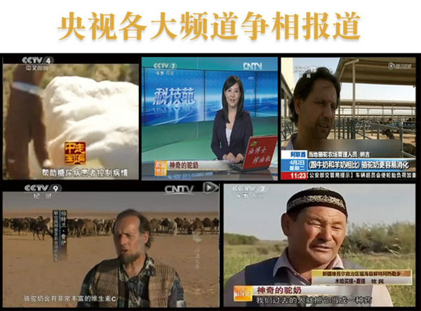 中國民族品牌網 中國民族品牌網