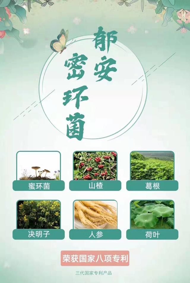 民族品牌工程 民族品牌工程