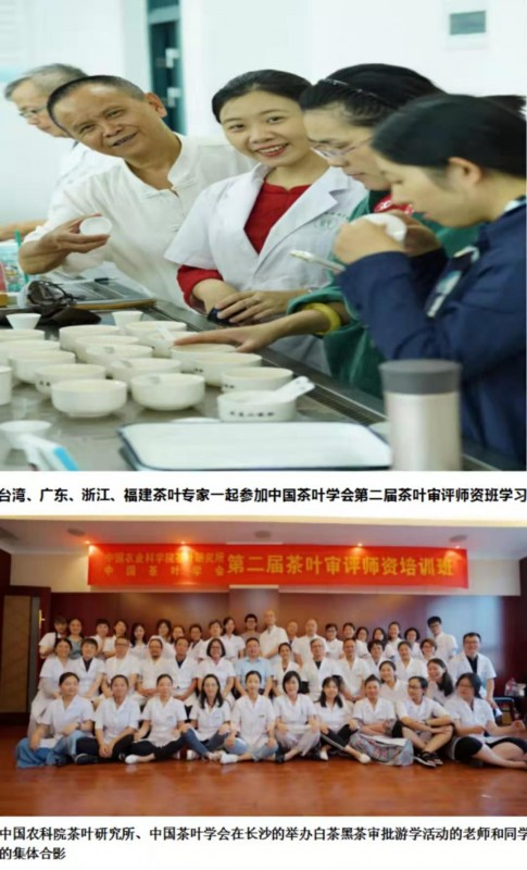 民族品牌手機有哪些 民族品牌手機有哪些
