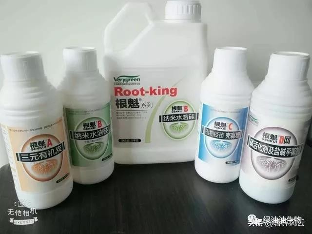 中國民族品牌 中國民族品牌