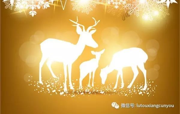 中國民族品牌 中國民族品牌