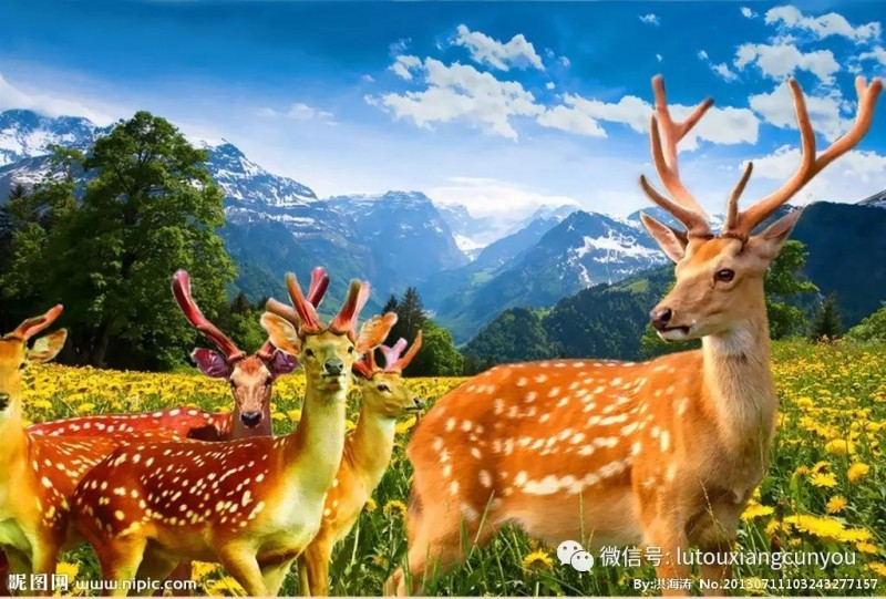 中國民族品牌網 中國民族品牌網