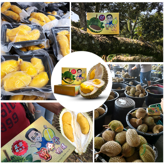 民族品牌工程 民族品牌工程