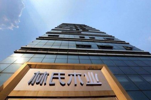 林氏木業家具旗艦店：帶來青春 帶來屬于年輕人的理想
