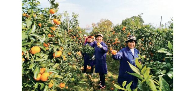 從“賣資源”到“賣品牌”，跨越——個“京品命門”，它跑出了產業加速度。