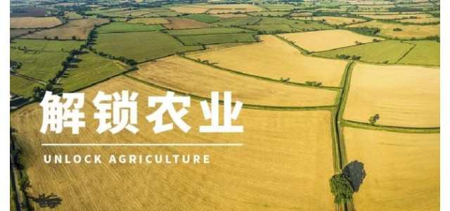 高啟杰等：三大電商平臺上，優勢區域特色品牌占據較大市場份額