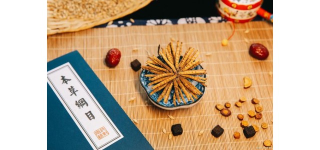 中藥第一民族品牌，股價從163元跌到53元，曾經的龍頭還能漲嗎？